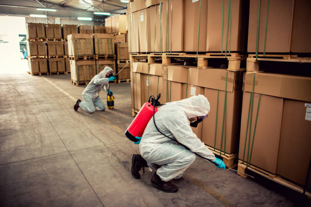 Best Termite Control Services  in Jonesville, LA