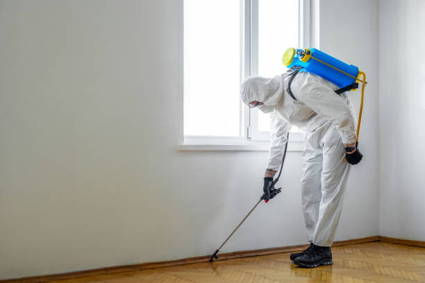 Best Residential Pest Control  in Jonesville, LA