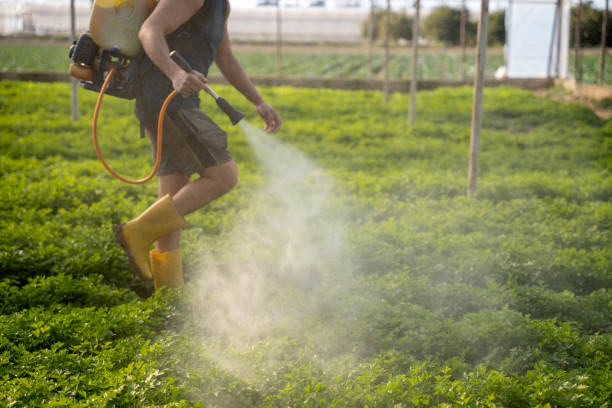 Best Pest Control Near Me  in Jonesville, LA