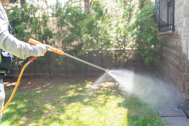 Best Flea Control Services  in Jonesville, LA