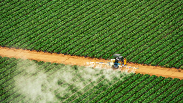 Best Ant Control Services  in Jonesville, LA